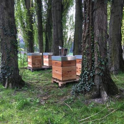 ruches sur roubaix frédéric raviat com à la ferme fournes en weppes produits fermiers