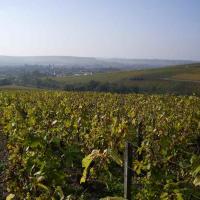 le Chablis